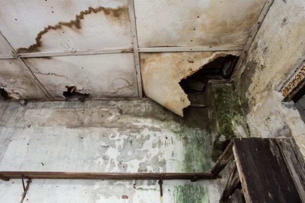 Water Damage Service in Surprise
