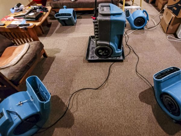 Cost of Flood Damage Recovery in Surprise