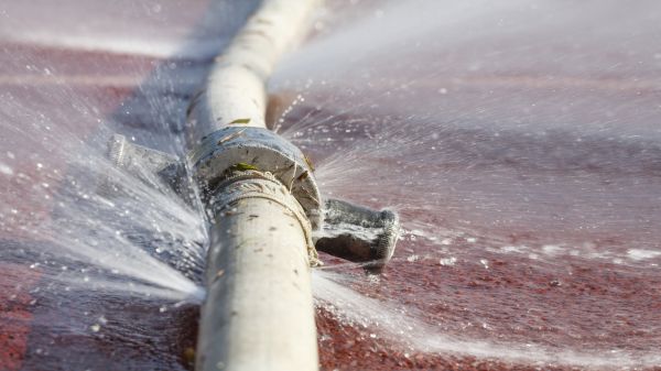 Burst Pipe Cleanup in Surprise