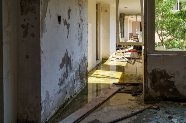 Water Removal Service in Surprise