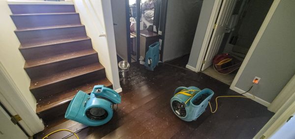 Water Damage Remediation in Surprise