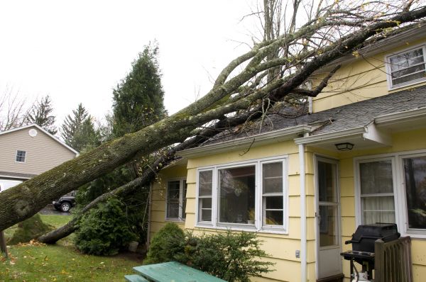 Hurricane Damage Repair in Surprise